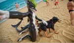 2_penises animal_genitalia animal_penis animal_pussy anthro beach bestiality claspers duo female feral genitals green_eyes green_hair hair male male/female multi_genitalia multi_penis penetration penis public public_sex pussy sea seaside selfie sex vaginal vaginal_penetration water alvos canid canine canis domestic_dog fish mammal marine shark