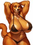 anthro areola areola_slip armpit_showing athletic athletic_female barely_contained big_breasts bikini breasts brown_body brown_fur cleavage cleavage_overflow clothed clothing confident deep_navel female fur hands_behind_head huge_breasts looking_at_viewer muscular muscular_female narrowed_eyes navel presenting presenting_breasts skimpy smile solo standing string_bikini swimwear thong underwear anonymous_director bird_dog canid canine canis domestic_dog hunting_dog mammal spaniel hi_res