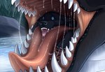 black_body black_fur black_scales blue_eyes bodily_fluids breath_cloud close-up duo fangs feral fur male male/male oral_vore predator/prey saliva scales size_difference swallowing teeth tongue vore water loganth canid canine dragon mammal