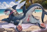 anus beach_background belly blue_body blue_eyes blue_sky blush bodily_fluids body_blush cloud collar feet female feral foot_focus genital_fluids genitals happy marvel nude ocean_view pawpads paws plant pussy pussy_blush pussy_juice sand shark_fin shark_tail shark_teeth sky smile solo towel tree wet wet_body white_belly snarls jeff_the_land_shark fish marine shark colored colorful