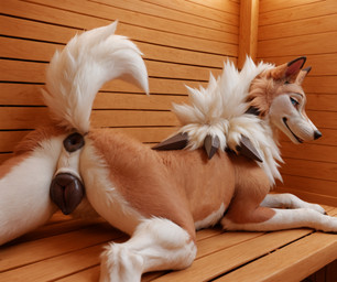 animal_genitalia animal_pussy anus bench black_genitals butt canine_genitalia canine_pussy female feral genitals looking_at_viewer looking_back looking_back_at_viewer lying on_front presenting presenting_hindquarters pussy raised_tail realistic realistic_fur sauna solo tail crimson_fenrir_(director) nintendo pokemon generation_7_pokemon lycanroc pokemon_(species) hi_res