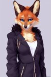 2022 2:3 anthro biped black_nose blue_eyes breasts canid canine chest_tuft clothed clothing colossal_exhoost_fume female fur grey_background hi_res inner_ear_fluff jacket looking_at_viewer mammal maned_wolf narrowed_eyes orange_body orange_fur seductive simple_background smile solo standing topwear tuft