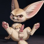 angry_expression animal_genitalia animal_penis balls black_nose blush bodily_fluids canine_penis collar collar_only embarrassed erection feral genital_fluids genitals leaking_precum male nude pawpads penis precum precum_on_penis presenting presenting_penis solo zootopia strawberry_fennec finnick_(zootopia) canid canine fennec fox mammal hi_res