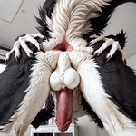 anthro anus balls bent_over big_tail black_body black_fur butt butt_grab claws erection fluffy fluffy_balls fur gaping gaping_anus genitals hand_on_butt humanoid_genitalia male penis photorealism photorealistic presenting presenting_anus presenting_penis raised_tail solo spread_anus spread_butt spreading white_body white_fur aurugy sergal detailed hi_res