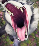 anthro bodily_fluids canid canine canis detailed fangs fur gaping_mouth grey_body grey_fur high-angle_view imminent_vore male mammal mouth_shot open_mouth oral_invitation presenting_mouth saliva saliva_string solo teeth tongue tongue_out white_body white_fur wolf