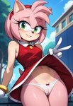 anthro belly clothed clothing clothing_lift dress dress_lift female genitals looking_at_viewer panties pussy solo sonic_the_hedgehog_(series) underwear tricksterfox amy_rose absurd_res hi_res