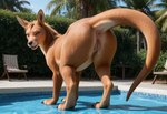 brown_body butt clitoral_winking clitoris female feral genitals humanoid_genitalia looking_at_viewer looking_back pool_chair poolside presenting presenting_hindquarters presenting_pussy pussy realistic_feral solo standing mare_fan_ultimate hybrid kangaroo macropod mammal marsupial