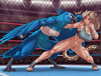 anthro blonde_hair blood blue_body blue_feathers bodily_fluids bra bruised chest_wraps clothing duo feathers female female/female fight fighting_ring genital_fluids hair naked_boxing punch pussy_juice sports_bra underwear wraps erta_wanderer avian bird blue_macaw felid feline humanoid jaguar mammal pantherine hi_res
