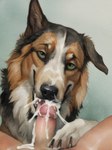 absurd_res ambiguous_gender australian_shepherd bedroom_eyes bestiality black_body black_fur black_nose bodily_fluids brown_body brown_fur canid canine canis cum cum_drip cum_explosion cum_in_mouth cum_inside cum_on_face cum_on_penis cum_on_tongue cumshot_in_mouth domestic_dog dripping duo ejaculation excessive_cum excessive_genital_fluids eyebrows fellatio feral first_person_view floppy_ears fur genital_fluids genitals green_eyes half-closed_eyes happy herding_dog hi_res human human_on_feral humanoid_genitalia humanoid_penis interspecies licking looking_at_viewer male male/ambiguous male_pov mammal messy multicolored_body multicolored_fur narrowed_eyes open_mouth oral oral_penetration painting_(artwork) pastoral_dog paws penetration penile penis penis_lick raised_eyebrow seductive sex sheepdog shuffur simple_background smile smiling_at_viewer tongue tongue_out traditional_media_(artwork) two_tone_body two_tone_fur watercolor_(artwork) white_body white_fur