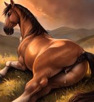 absurd_res anatomically_correct anatomically_correct_genitalia animal_genitalia animal_pussy anus bodily_fluids equid equine equine_genitalia equine_pussy female feral field furryrock_(model) genital_fluids genitals hair hi_res horse laying_down looking_at_viewer mammal pussy solo