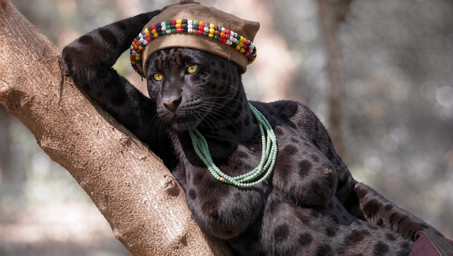 anthro black_body black_fur blurred_background branch breasts clothed clothing exposed_breasts female fur hand_on_head hat headgear headwear jewelry lying necklace nipples on_side photorealism plant realistic realistic_fur realistic_lighting solo topless tree whiskers yellow_eyes sound_warning zabern felid feline jaguar mammal pantherine absurd_res animated hi_res huge_filesize short_playtime sound webm