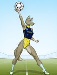 anthro athletic athletic_female ball clothing eyewear female field goggles leotard mascot rule63 soccer_ball soccer_uniform solo sportswear ukraine uniform gusc3 zabivaka canid canine canis mammal wolf hi_res