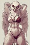 abs anthro athletic athletic_anthro athletic_female beak bikini breasts clothing feathers female looking_at_viewer navel panties seductive solo swimwear tail_feathers thong underwear white_body wings birdovo accipitriform avian bird secretary_bird hi_res