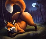 ambiguous_gender ass_up big_butt butt detailed_fur feral fluffy fluffy_tail forest front_view fur huge_butt hyper hyper_butt looking_at_viewer lying moon mooning nature nature_background night on_front orange_body orange_fur plant raised_tail seductive solo spread_legs spreading tree nelepus canid canine fox mammal detailed