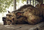 after_rape after_sex anthro bodily_fluids cum cum_on_face genital_fluids male scratches shocked_expression wide_eyed hyperion gnoll hyaenid mammal attempted_signature