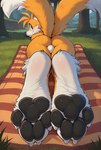 anthro balls butt day detailed_background feet foot_focus fur genitals grass male nude pawpads plant solo sonic_the_hedgehog_(series) tree unknown_director miles_prower canid canine fox mammal hi_res