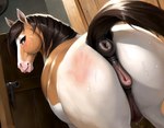 anatomically_correct anatomically_correct_anus animal_genitalia animal_pussy anus bedroom_eyes big_butt blush bodily_fluids butt equid equine equine_anus equine_genitalia equine_pussy eyelashes female feral genitals gloomy_pussy hi_res horse looking_back mammal mmkio narrowed_eyes nipples plump_labia presenting presenting_hindquarters presenting_pussy puffy_anus pussy quadruped rear_view seductive solo spank_marks sweat tail tail_up teats udders