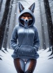 anthro canid canine clothing female forest fox genitals hand_in_pocket hoodie looking_at_viewer lurktime_(director) mammal plant pockets pussy snow solo standing thigh_gap topwear tree winter