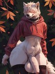 anthro balls big_penis clothing collar crop_hoodie falling_leaves flaccid foreskin fur genitals girly hair hair_over_eyes huge_thighs humanoid_genitalia humanoid_penis leaf legwear male penis pinup pose simple_background small_waist solo thick_thighs thigh_highs white_body white_fur code_0_0 canid canine canis mammal wolf absurd_res hi_res portrait three-quarter_portrait