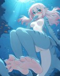 ahoge anthro blue_body blue_eyes blush breasts bubble covering covering_mouth dorsal_fin embarrassed feet female fin floating foot_focus gills hair highlights_(coloring) long_hair looking_aside medium_breasts membrane_(anatomy) mouth_closed nippleless pink_highlights shark_tail solo striped_body stripes underwater water wavy_mouth webbed_feet webbed_hands white_body white_hair cpt_d fish marine shark hi_res