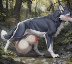 absurd_res anatomically_correct anatomically_correct_genitalia animal_genitalia animal_penis balls bodily_fluids canid canine canine_genitalia canine_penis canis doggyai feral forest fur genital_fluids genitals hi_res hyper hyper_genitalia male mammal paws penis plant precum solo tree wolf