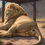 animal_genitalia animal_penis anus balls bodily_fluids cum cum_in_ass cum_inside feline_penis fence feral gaping gaping_anus genital_fluids genitals grass looking_at_viewer lying male on_side outside penis penis_tip plant rear_view solo tail_aside drla felid lion mammal pantherine hi_res