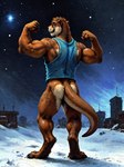 anthro athletic bottomless brown_body brown_fur city clothed clothing countershading digitigrade flexing_both_biceps fur light_body light_countershading looking_at_viewer looking_back looking_back_at_viewer male night outside shirt sky sleeveless snow solo star starry_sky topwear hamgas_(director) lutrine mammal mustelid hi_res