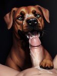 absurd_res after_oral after_sex ambiguous_gender balls bestiality black_nose bodily_fluids brown_body brown_fur canid canine canis cum cum_drip cum_in_mouth cum_inside cum_on_face cum_on_penis cum_on_tongue domestic_dog dripping duo fellatio feral first_person_view fur genital_fluids genitals green_eyes hi_res human human_on_feral interspecies looking_up male male/ambiguous male_pov mammal open_mouth open_smile oral paws penile penis sex shuffur smile tongue