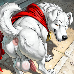 anus balls cape clothing feral flanwithaplan_(director) genitals grin looking_at_viewer male penis presenting presenting_anus raised_tail smile solo dc_comics krypto krypto_the_superdog canid canine mammal