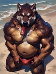 anthro beach biceps biped black_nose bodily_fluids body_hair brown_body brown_fur bulge canid canine canis clothed clothing clothing_pull conchiglie dessert food fur happy_trail high-angle_view kneeling looking_at_viewer male mammal multicolored_body multicolored_fur musclegut muscular muscular_male navel nipples outside pecs popsicle pubes saliva sand seaside seductive solo speedo swimwear swimwear_pull tongue topless underwear water white_body white_fur wolf yellow_eyes