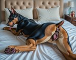 animal_genitalia animal_pussy anus bedroom bodily_fluids butt canine_genitalia female feral fur genital_fluids genitals paws presenting pussy solo tongue tongue_out yakuza0likeadragon_(director) canid canine canis dobermann domestic_dog mammal pinscher