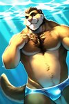 anthro clothing hi_res lutrine male mammal mustelid pup_tobey seductive solo speedo swimming swimming_pool swimwear underwater underwear water