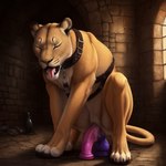 anal anal_penetration animal_genitalia animal_pussy collar crouching dildo dildo_in_ass dildo_insertion dildo_sitting dungeon eyes_closed felid female feral fur genitals harness hi_res lion looking_pleasured mammal multicolored_body multicolored_fur ocillet pantherine penetration pussy sex_toy sex_toy_in_ass sex_toy_insertion solo tongue tongue_out two_tone_body two_tone_fur whiskers