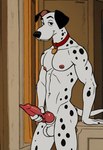 101_dalmatians animal_genitalia animal_penis anthro anthrofied athletic balls canine_penis collar erection genitals knot looking_at_viewer male masturbation nipples nude penile penile_masturbation penis solo pc-king pongo canid canine canis dalmatian domestic_dog mammal