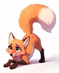 blush canid canine cute_expression female feral fox foxlover7796 fur hi_res lying mammal on_front orange_body orange_fur raised_tail solo