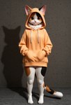 anthro bottomless clothed clothing female genitals hands_in_both_pockets hoodie looking_at_viewer mottled piebald pussy solo standing topwear denis0k calico_cat domestic_cat felid feline felis mammal hi_res