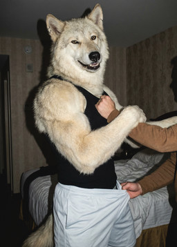 anthro bedroom biceps black_lips bottomwear bottomwear_pull clothing clothing_pull detailed_fur duo ear_piercing facial_piercing fluffy fur grabbing hotel_room inside lips looking_at_viewer male male/male muscular muscular_anthro muscular_male neck_tuft nose_piercing open_mouth pants pants_pull photorealism piercing realistic realistic_fur realistic_lighting shirt shorts side_view size_difference tan_body tan_fur tank_top teeth topwear tuft delken canid canine canis human mammal wolf absurd_res detailed hi_res