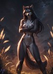 anthro black_hair breasts crossed_arms female fur genitals grass hair looking_at_viewer night night_sky nipples nude plant pussy sky smile solo tuft gren_art canid canine canis mammal wolf absurd_res hi_res huge_filesize