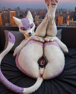 animal_genitalia animal_pussy anthro anus bed butt canine_genitalia canine_pussy city city_background female furniture genitals legs_in_air legs_together lying on_back on_bed pawpads pussy solo tail crimson_fenrir_(director) nintendo pokemon generation_5_pokemon mienshao pokemon_(species) hi_res