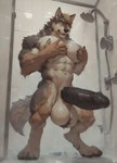 anthro balls big_balls big_muscles big_pecs big_penis black_penis brown_body brown_fur digitigrade fur genitals glans hand_on_pecs huge_balls huge_penis hyper hyper_balls hyper_genitalia hyper_penis male multicolored_body multicolored_fur muscular muscular_male pec_grab pecs penis shower solo standing surprised_expression thick_penis two_tone_body two_tone_fur white_body white_fur agreenfish canid canine canis mammal wolf