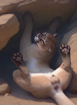 4_toes 5_toes animal_genitalia anus balls boulder brown_eyes butt countershading day feet feline_balls feline_sheath feral fully_sheathed genitals looking_back lying male on_back one_eye_closed outside pawpads paws presenting presenting_anus presenting_balls presenting_hindquarters presenting_sheath rear_view rock sheath solo spread_legs spreading toes twisted_torso whiskers wink drla cougar felid feline mammal hi_res