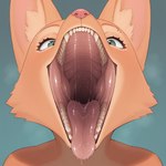 anthro black_lips black_pupils bodily_fluids breath_cloud drooling eyebrows eyelashes female fur green_eyes inner_ear_fluff lips looking_at_viewer markings mole_(marking) mouth_shot open_mouth orange_body orange_fur pink_nose pupils saliva saliva_string simple_background solo solo_focus teeth tongue tongue_out tuft mawpup the_bad_guys diane_foxington canid canine fox mammal headshot_portrait hi_res portrait