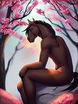 anthro black_hair black_mane brown_body cherry_blossom cherry_tree equid equine fruit_tree hair horse male mammal mane nude orobas outside plant rock sitting sitting_on_rock solo tree zack3d_kinky_v1