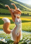 anthro bathrobe biped black_nose breasts clothed clothing dipstick_tail eyelashes eyes_closed female flower flower_field fur genitals grass hair happy inner_ear_fluff innie_pussy landscape light light_beam markings medium_breasts mostly_nude orange_body orange_fur plant pussy robe solo standing stretching sunlight tail_markings tuft bluetoothworld canid canine fox mammal hi_res