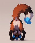 airusu anthro anus balls blue_ears bodily_fluids butt canid canine cum cum_drip cum_in_ass cum_inside dripping fox fur genital_fluids genitals male mammal multicolored_body multicolored_fur simple_background smile solo solo_focus spread_butt spreading