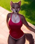 2022 anthro bottomless breasts canid canine canis cleavage clothed clothing day detailed_background digital_media_(artwork) domestic_dog eyebrows eyelashes female fur grey_body grey_fur hi_res jewelry looking_at_viewer mammal necklace outside pikaflufftuft plant red_eyes shaded shirt smile solo topwear tuft watermark white_body white_fur wolf