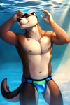 anthro bulge clothing hi_res light lutrine male mammal mustelid outside pecs pup_tobey solo sunlight swimming swimming_pool swimwear underwater underwear water