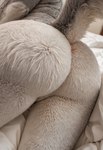 anthro butt detailed_background detailed_fur female fur genitals hair nude photorealism photorealistic presenting realistic solo white_body joeverlong canid canine canis fox mammal detailed hi_res