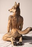 anthro butt fur kneeling looking_at_viewer looking_back looking_back_at_viewer male nude pawpads paws rear_view solo tan_body tan_fur 1997tj canid canine canis coyote mammal hi_res