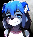 anthro australian_shepherd blue_body blue_eyes blue_fur blue_hair canid canine canis cub domestic_dog female fur hair herding_dog hi_res mammal pastoral_dog professor_harkness_(director) sheepdog smug solo spots spotted_body spotted_fur young